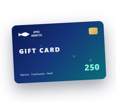 Apex Aquatic Gift Card - Apex AquaticApex Aquatic Gift Card