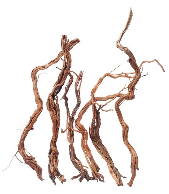 Azalea wood with intricate branches for freshwater aquarium aquascaping
