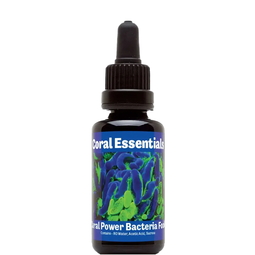 Coral Essentials Coral Power
