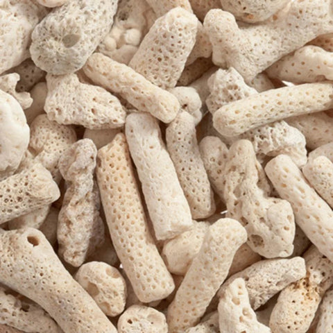 Coral Bone - Apex AquaticCoral Bone