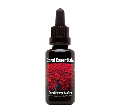 Coral Essentials Coral Power - Apex AquaticCoral Essentials Coral Power