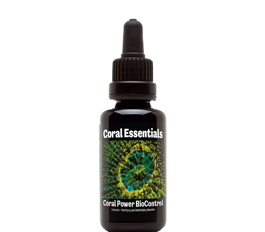 Coral Essentials Coral Power