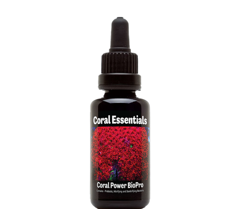 Coral Essentials Coral Power