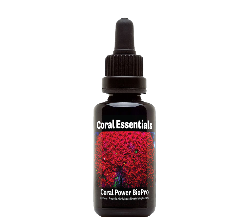 Coral Essentials Coral Power