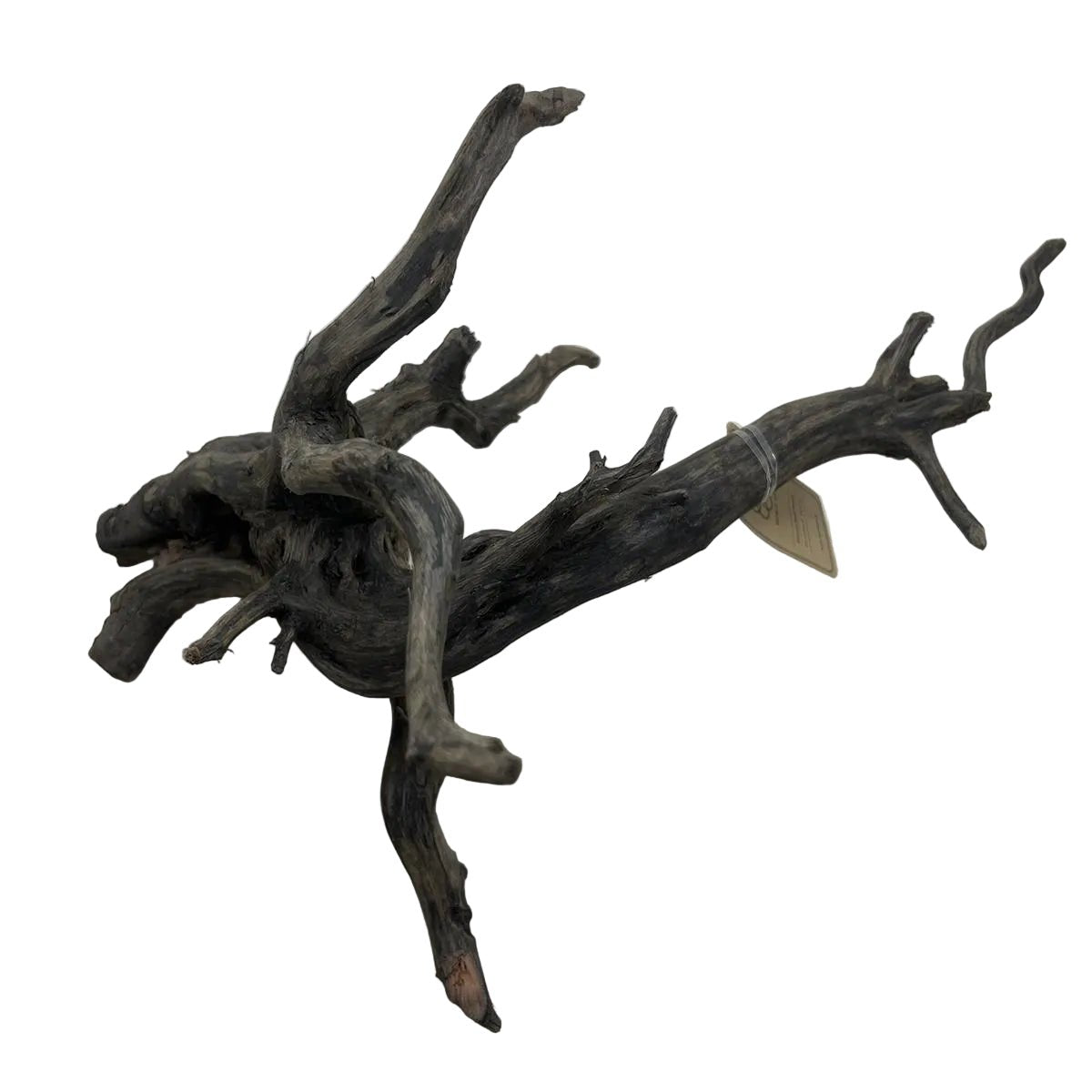 Dark Victorian Wood - Apex AquaticDark Victorian Wood