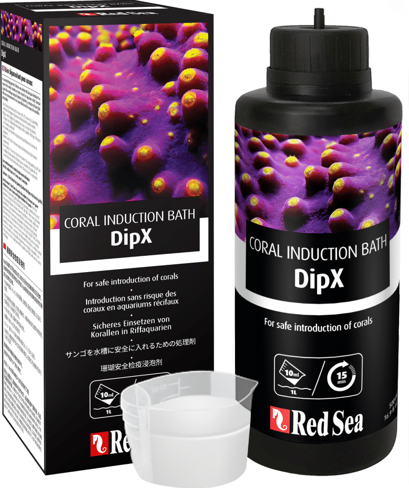 Red Sea Dipx