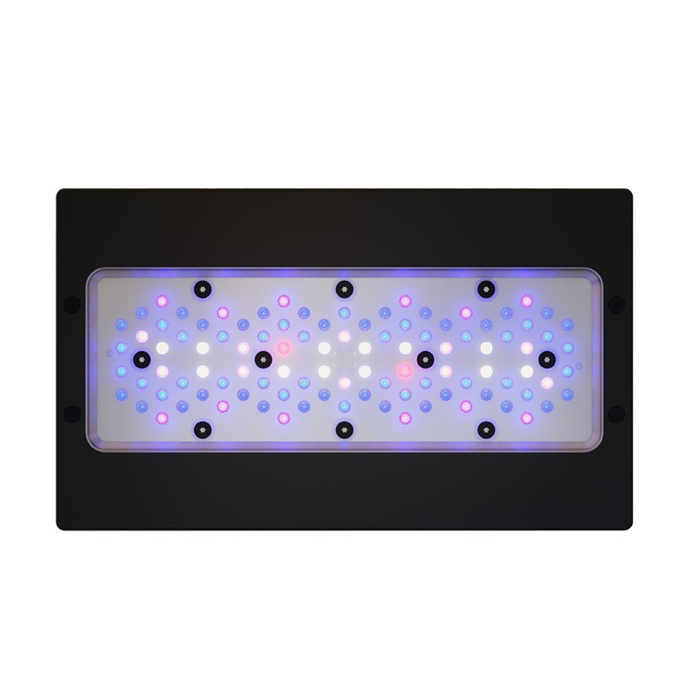 Ecotech Radion Gen6 - Apex AquaticEcotech Radion Gen6