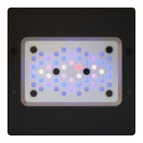 Ecotech Radion XR15 Gen6 - photo 2