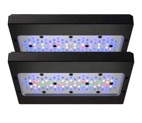 Ecotech Radion Gen6 - Apex AquaticEcotech Radion Gen6