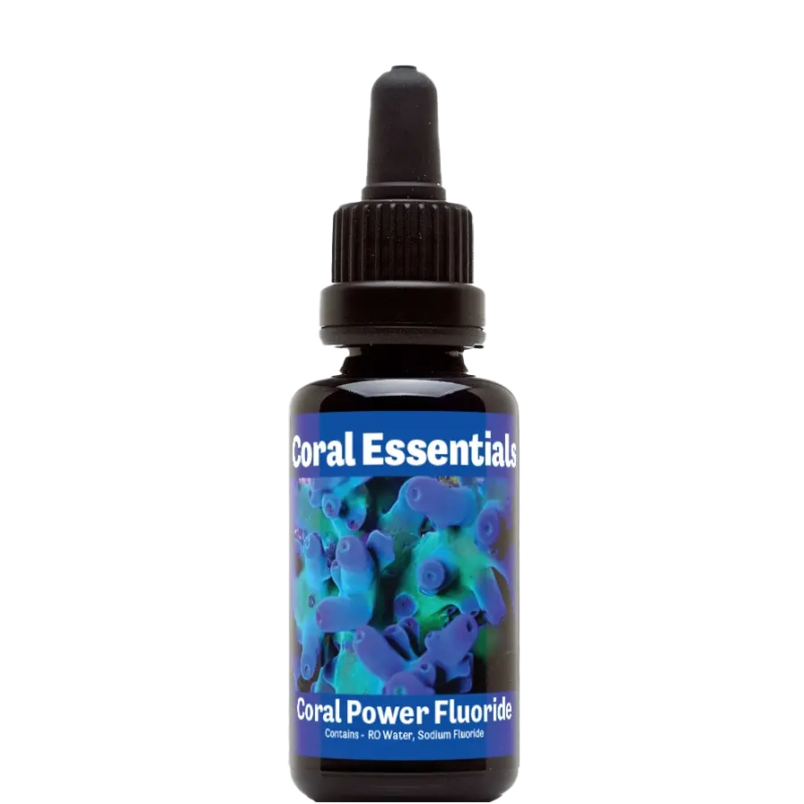 Coral Essentials Coral Power