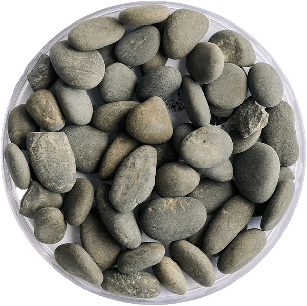 Golden Tree Black Stone Gravel - Apex AquaticGolden Tree Black Stone Gravel
