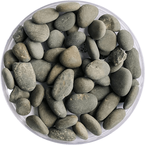 Golden Tree Black Stone Gravel - Apex AquaticGolden Tree Black Stone Gravel