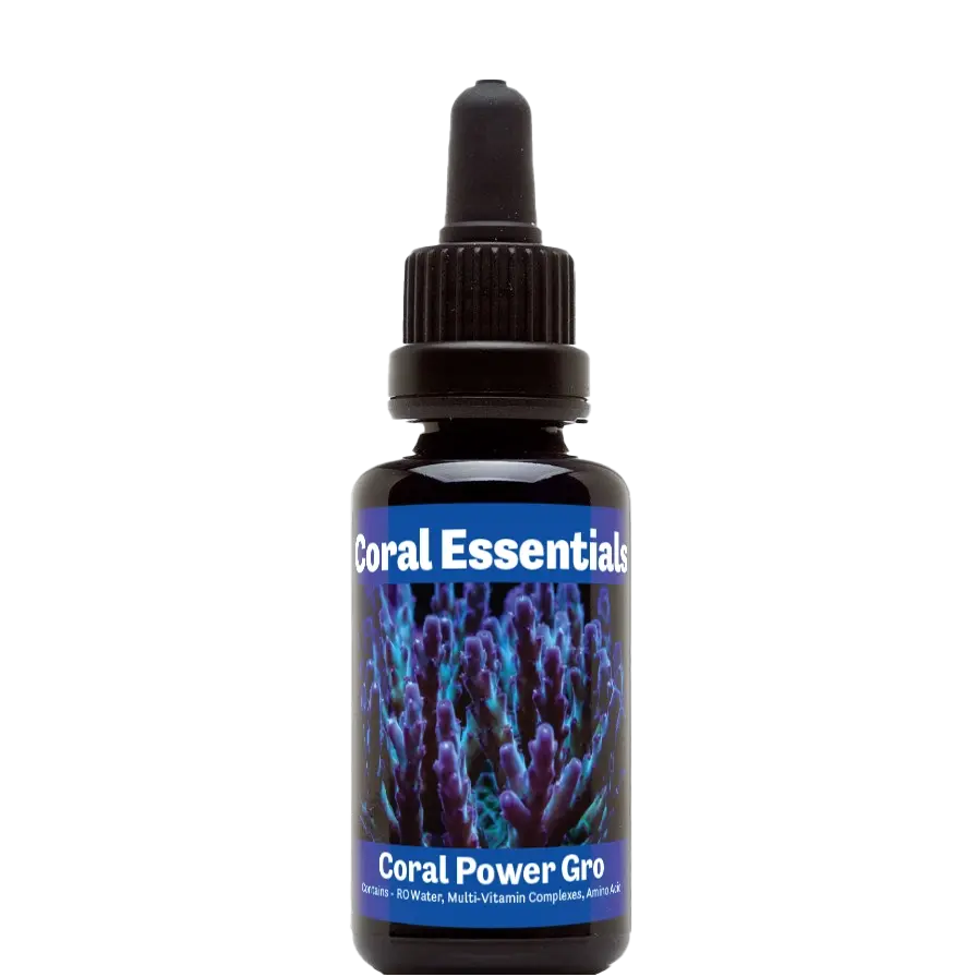 Coral Essentials Coral Power