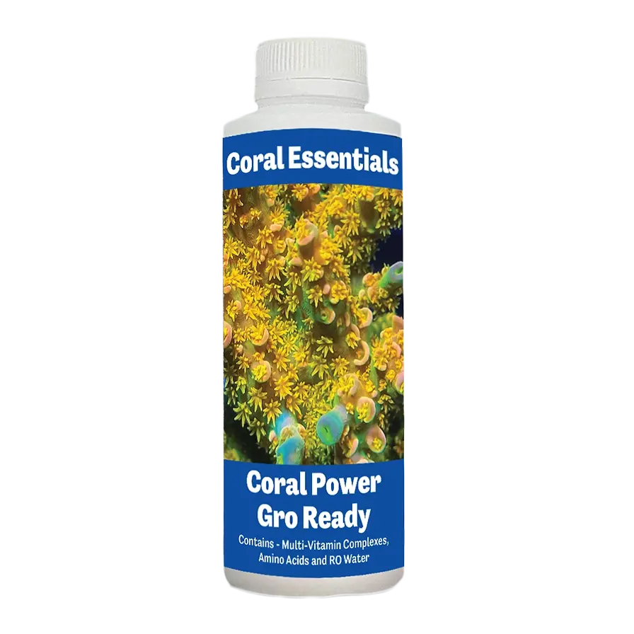 Coral Essentials Coral Power