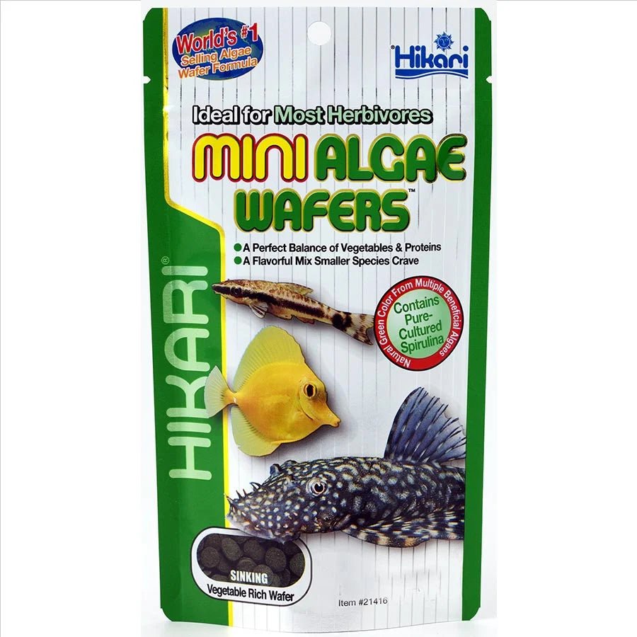 Hikari Mini Algae Wafers - Apex AquaticHikari Mini Algae Wafers
