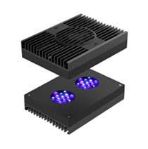 Aquaillumination Hydra