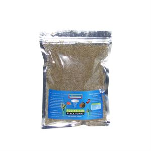 Australian Black Worms Freeze Dried