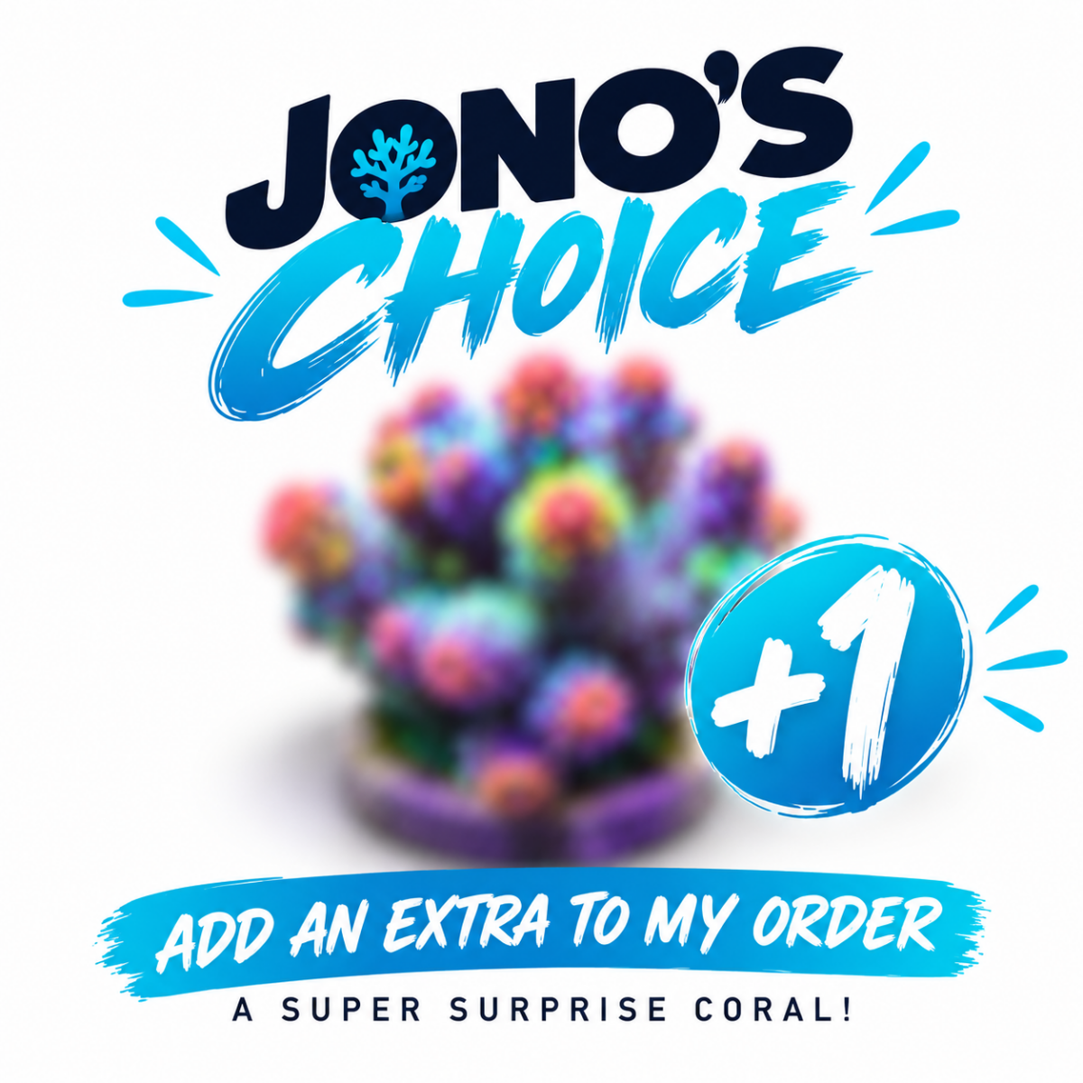 Jono's Choice - Add one extra 'Mystery' coral - Apex AquaticJono's Choice - Add one extra 'Mystery' coral