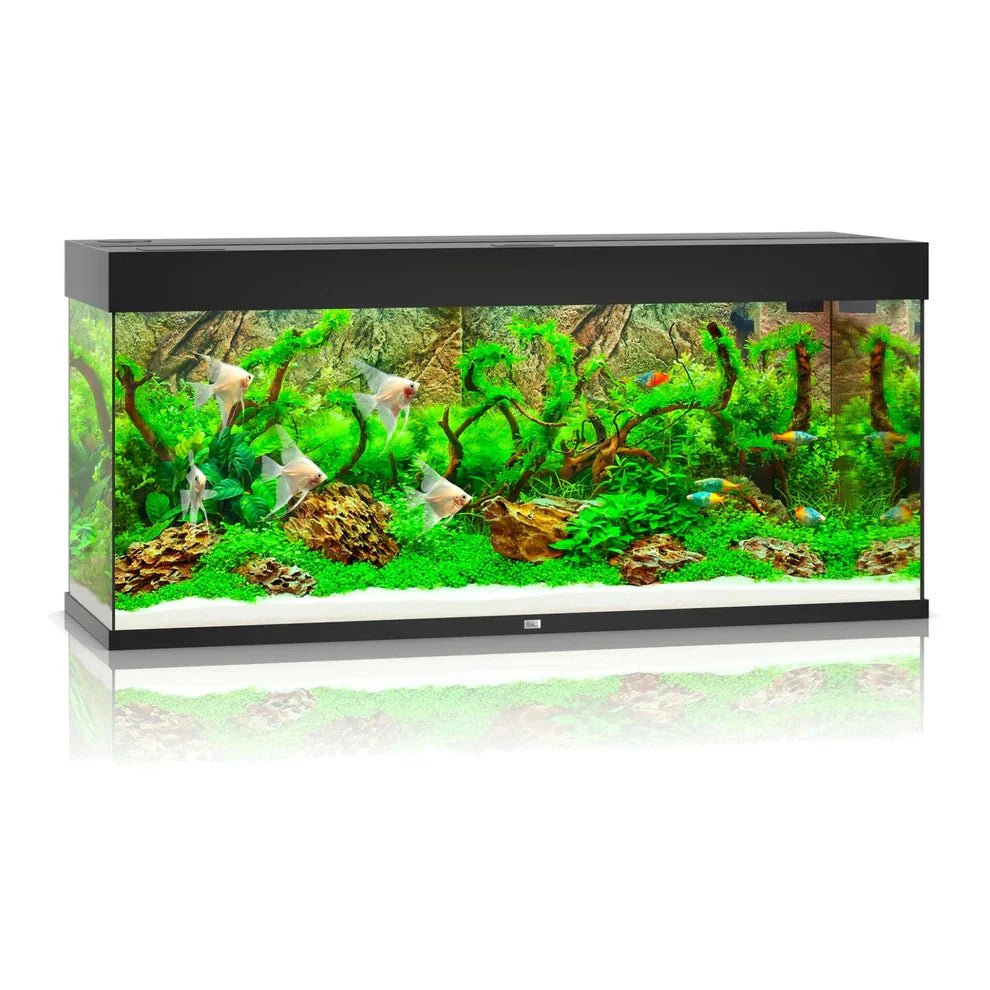 Juwel Rio Aquarium
