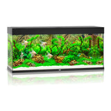 Juwel Rio Aquarium - photo 6