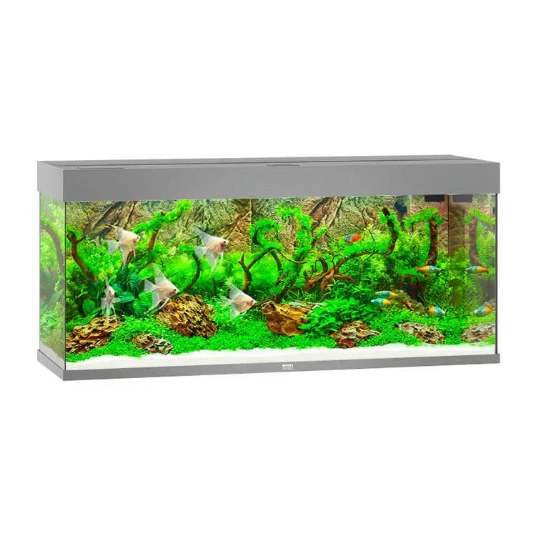Juwel Rio Aquarium