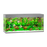 Juwel Rio Aquarium - photo 7