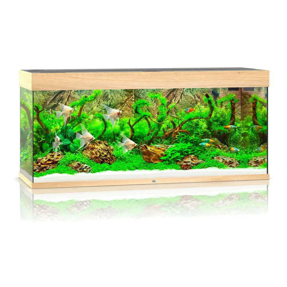 Juwel Rio Aquarium