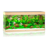 Juwel Rio Aquarium - photo 9