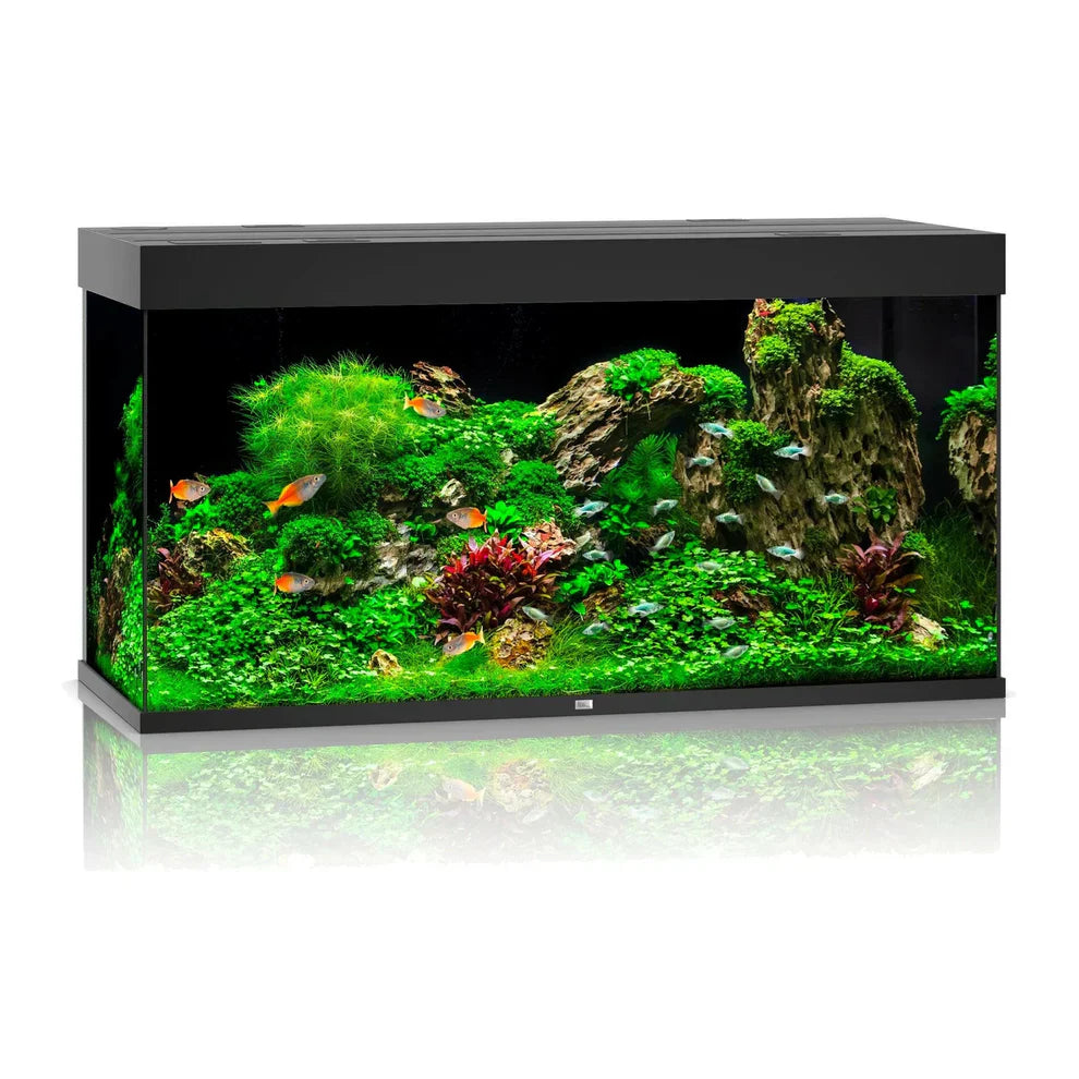 Juwel Rio Aquarium
