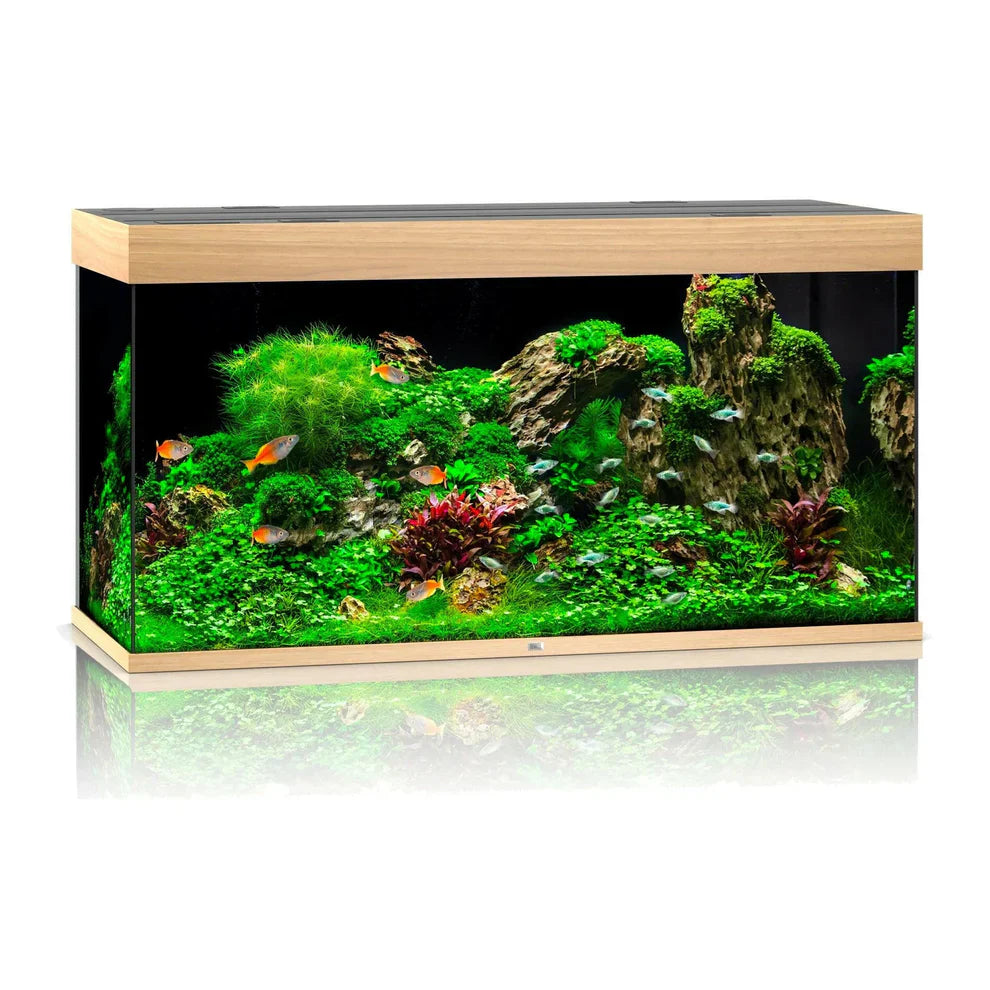 Juwel Rio Aquarium