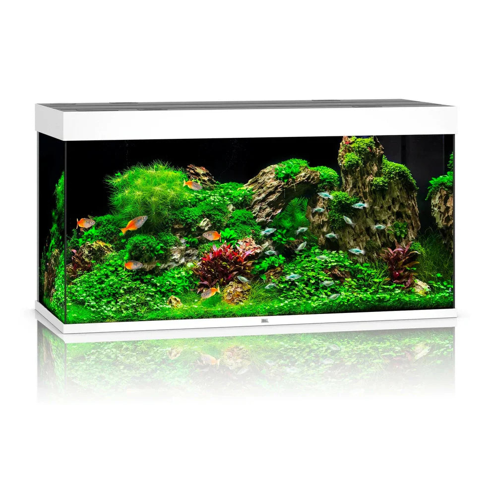 Juwel Rio Aquarium