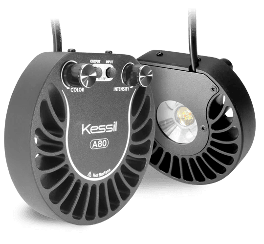 Kessil A80 - Apex AquaticKessil A80