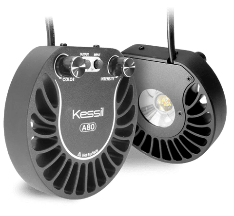 Kessil A80 - Apex AquaticKessil A80