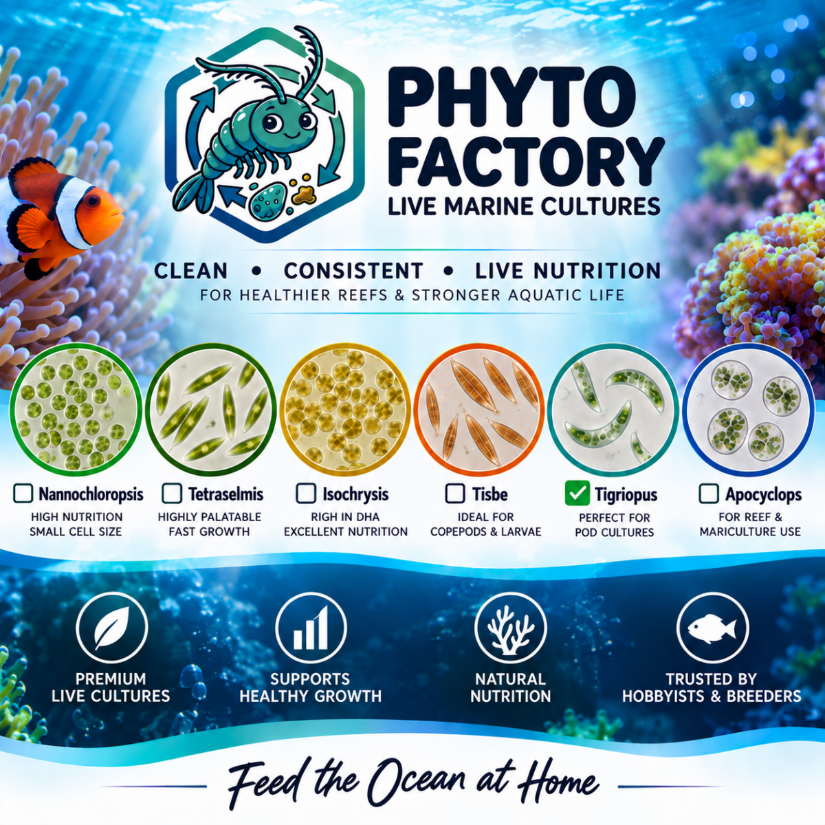 Live Foods By Phyto Factory - Apex AquaticLive Foods By Phyto Factory