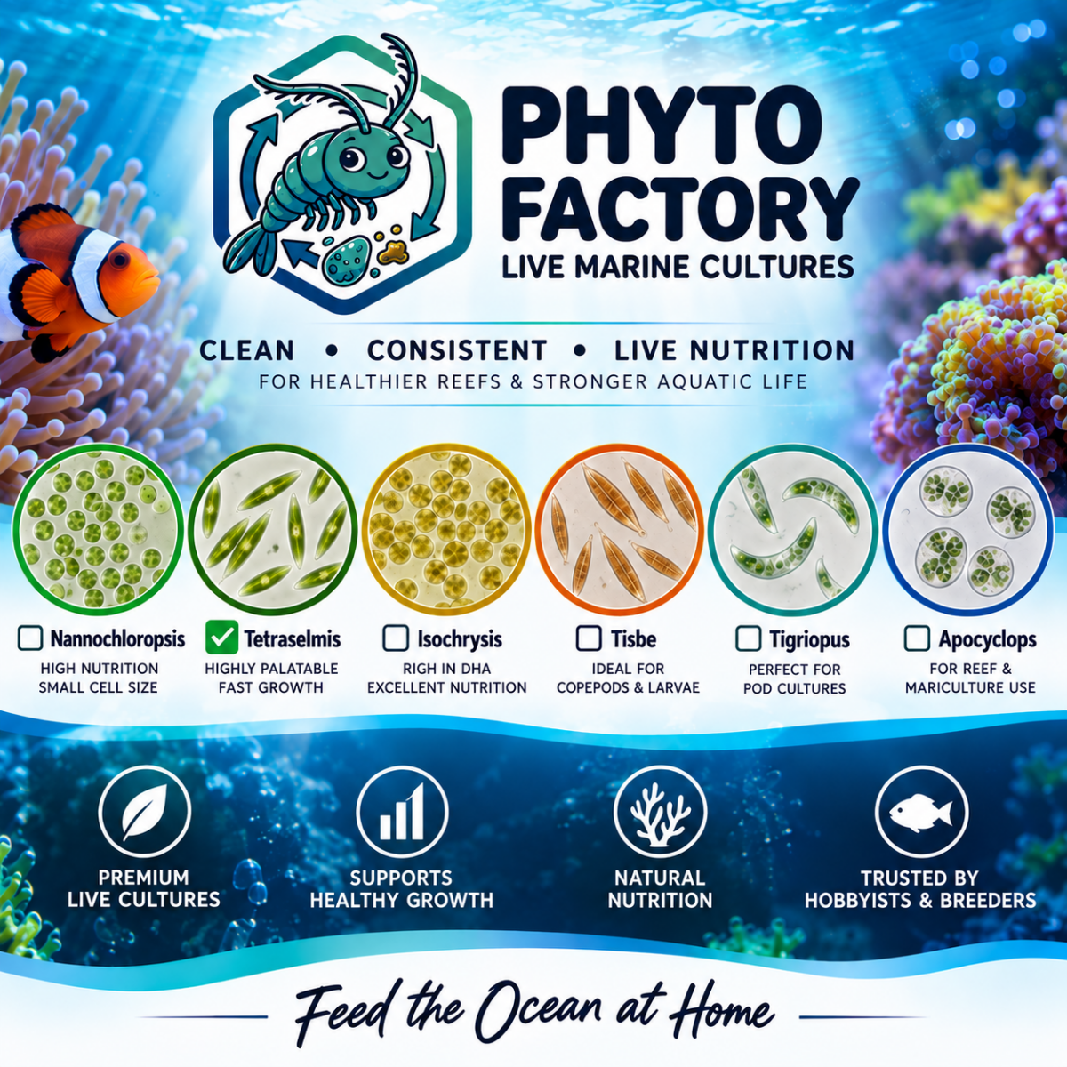 Live Foods By Phyto Factory - Apex AquaticLive Foods By Phyto Factory