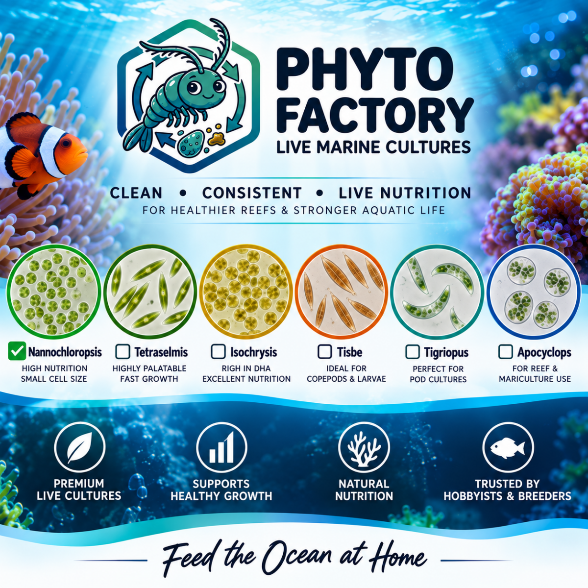Live Foods By Phyto Factory - Apex AquaticLive Foods By Phyto Factory