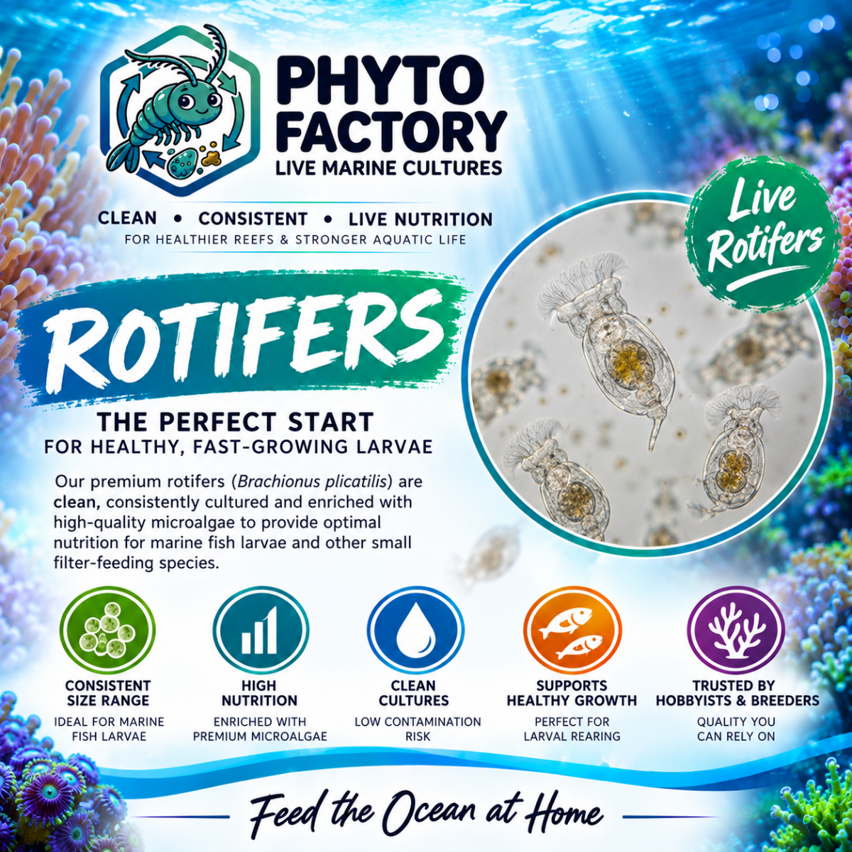 Live Foods By Phyto Factory - Apex AquaticLive Foods By Phyto Factory