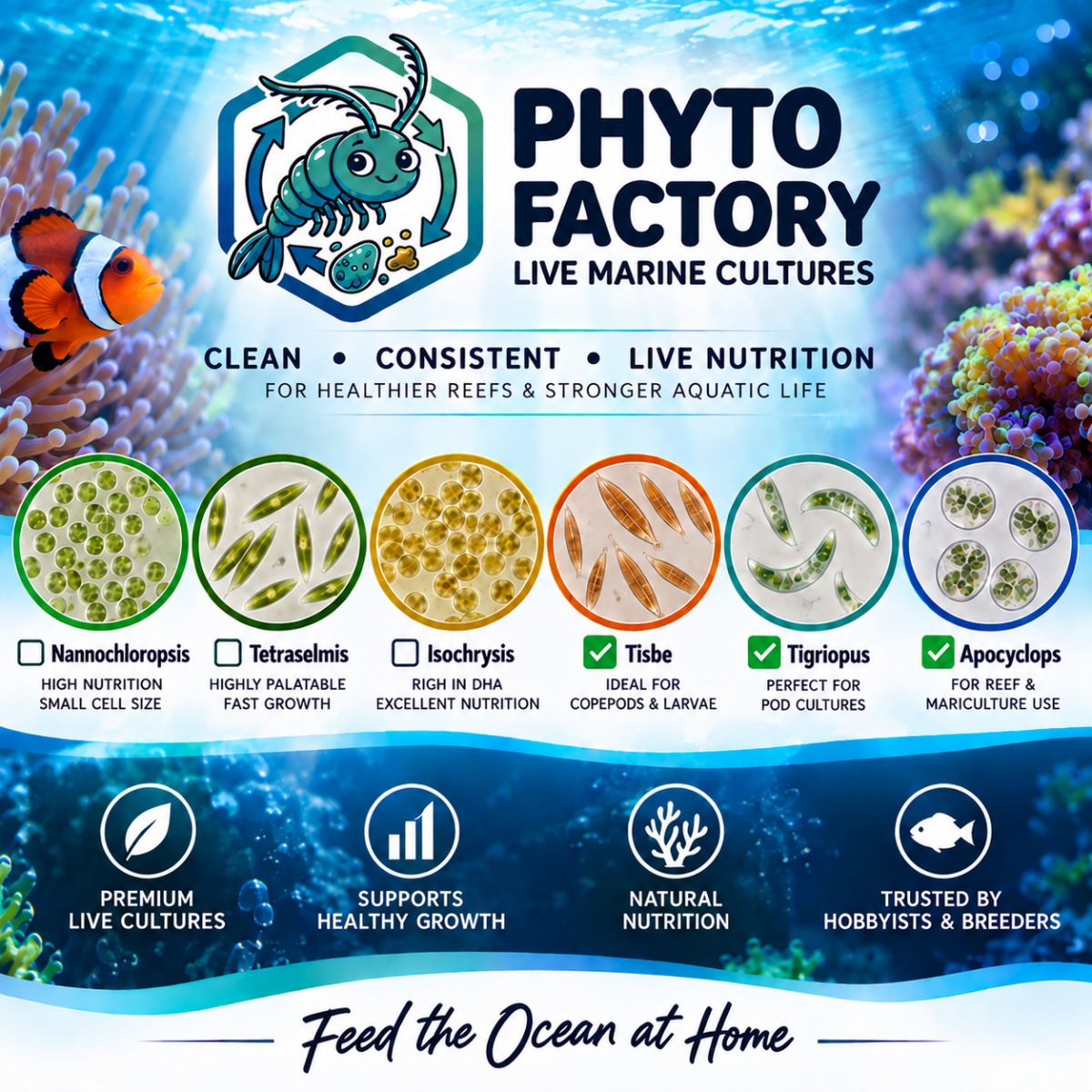 Live Foods By Phyto Factory - Apex AquaticLive Foods By Phyto Factory