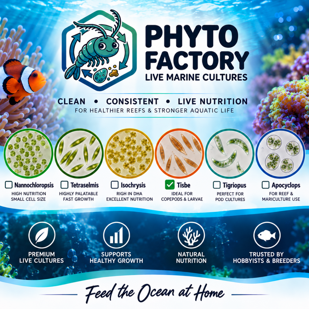 Live Foods By Phyto Factory - Apex AquaticLive Foods By Phyto Factory