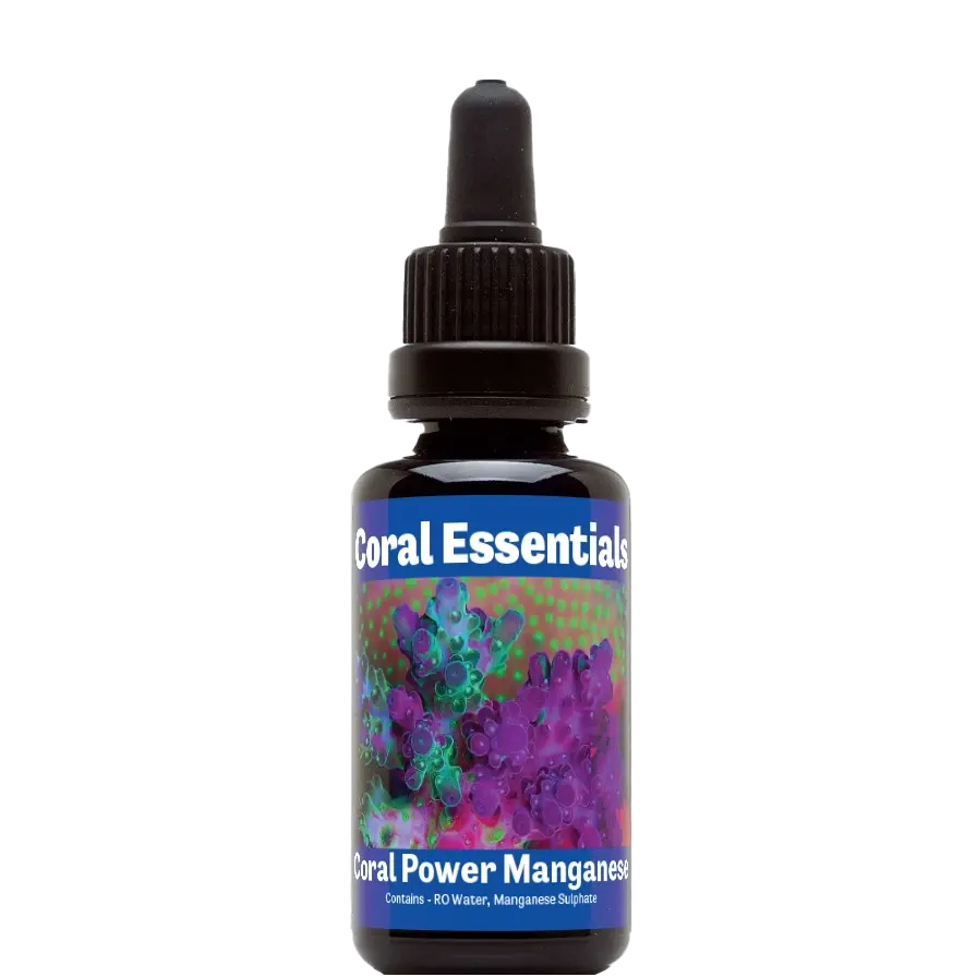 Coral Essentials Coral Power