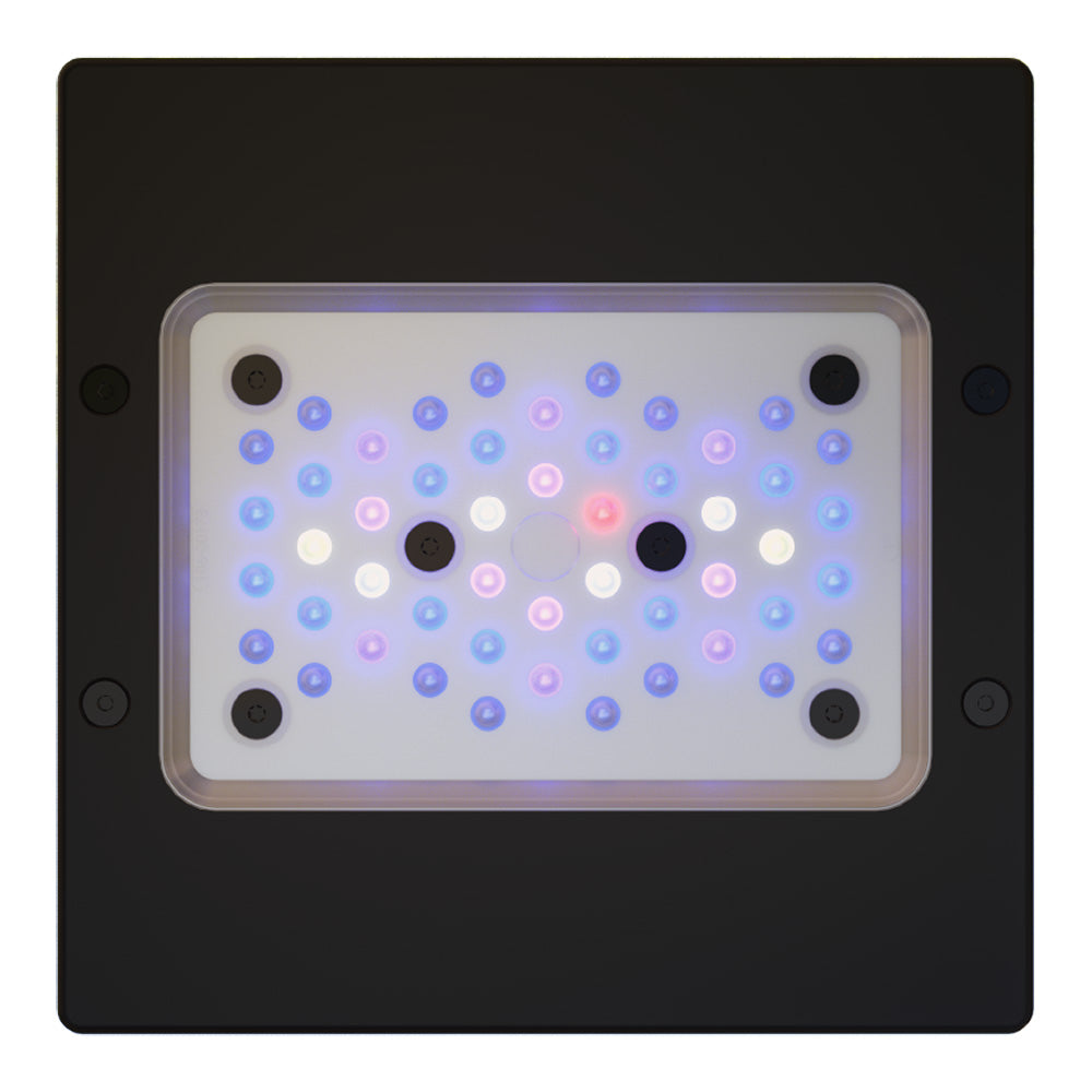 Ecotech Radion Gen6 - photo 3