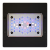 Ecotech Radion Gen6 - photo 3