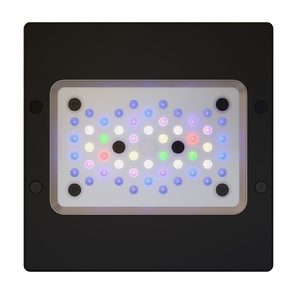 Ecotech Radion Gen6