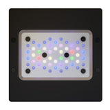 Ecotech Radion Gen6 - photo 4