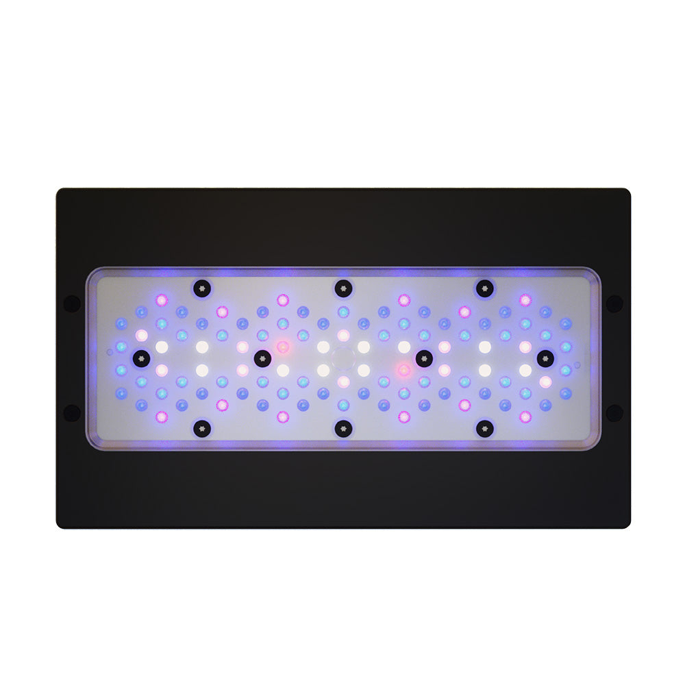 Ecotech Radion Gen6