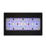 Ecotech Radion Gen6 - photo 5