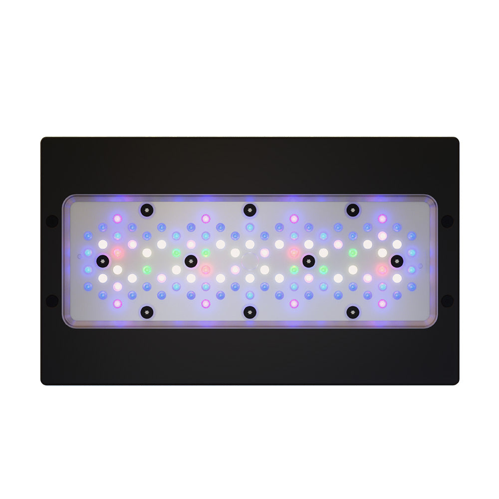 Ecotech Radion Gen6