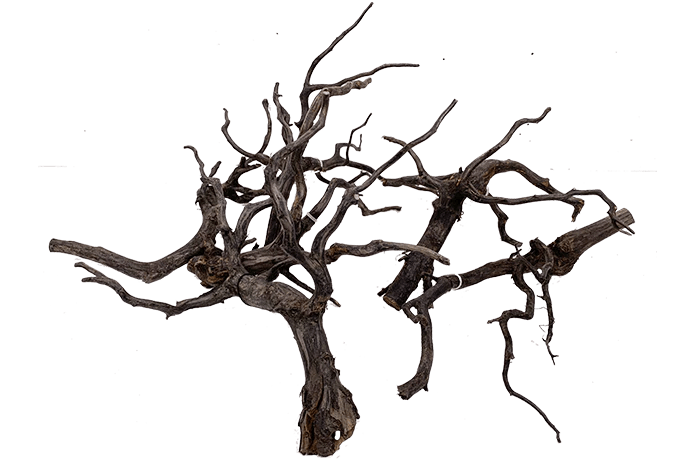 Natural Products Dark Indo Wood - Apex AquaticNatural Products Dark Indo Wood