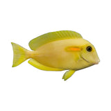 Orange Shoulder Tang - photo 1