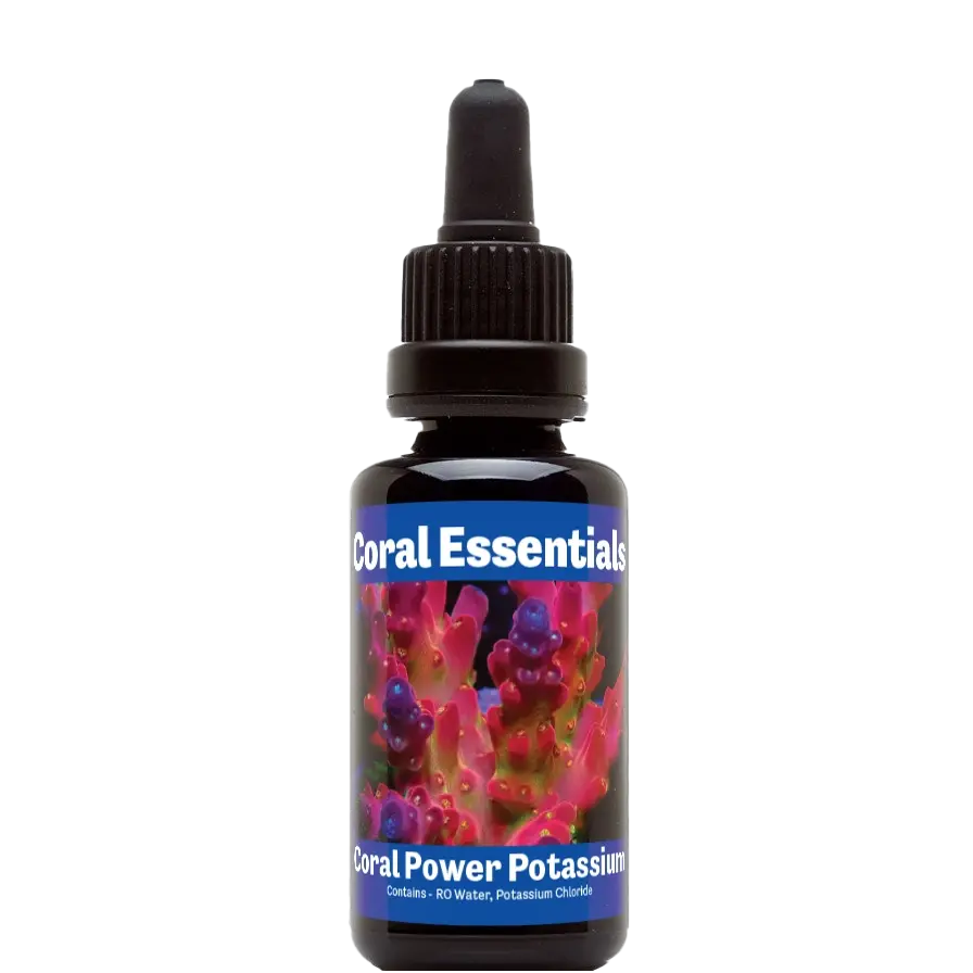 Coral Essentials Coral Power
